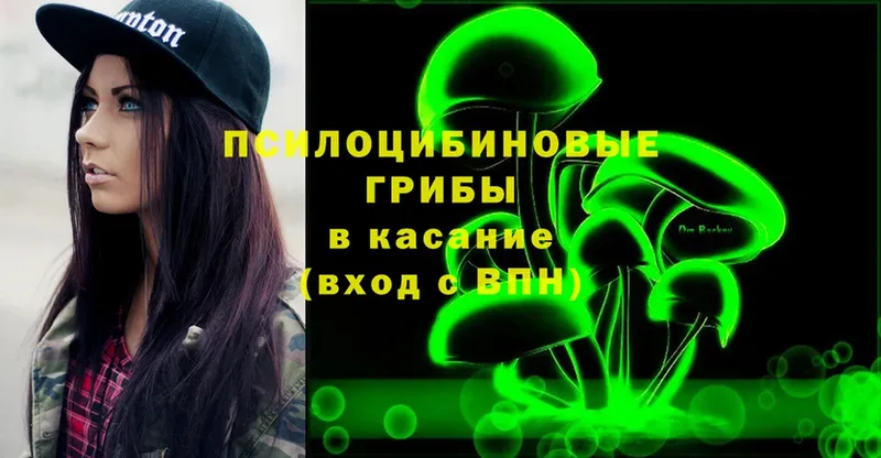 Галлюциногенные грибы Psilocybine cubensis  Бронницы 